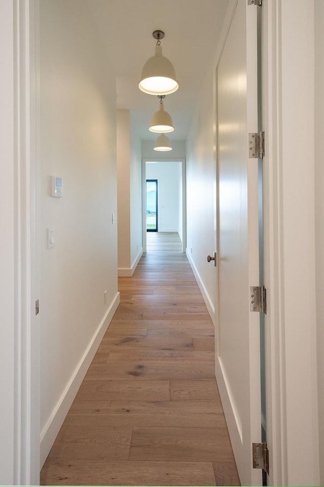 hall with baseboards and light wood-style floors