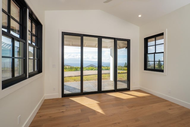 doorway featuring lofted ceiling, plenty of natural light, baseboards, and wood finished floors