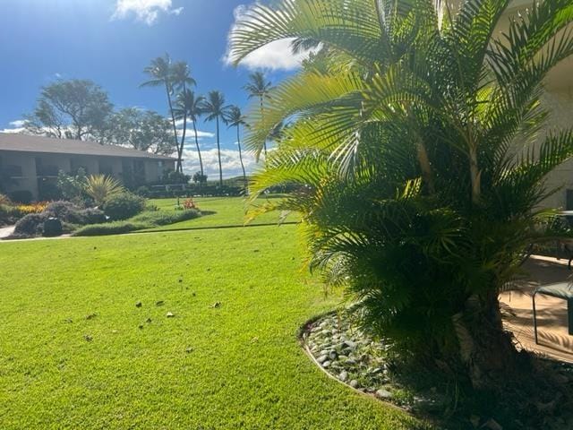 49 W Lipoa St Unit 107, Kihei, HI 96753 - view of grassy yard