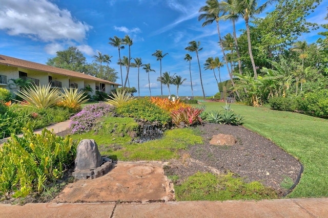49 W Lipoa St Unit 107, Kihei, HI 96753 - view of green lawn