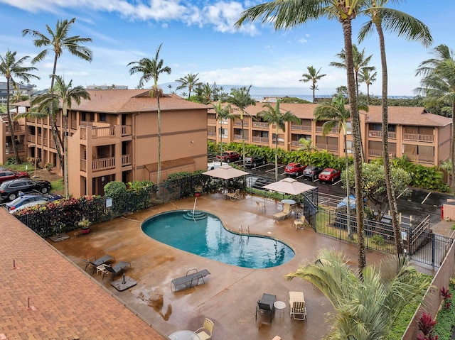 view of pool featuring a patio