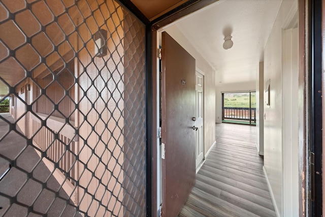 hallway with dark hardwood / wood-style flooring