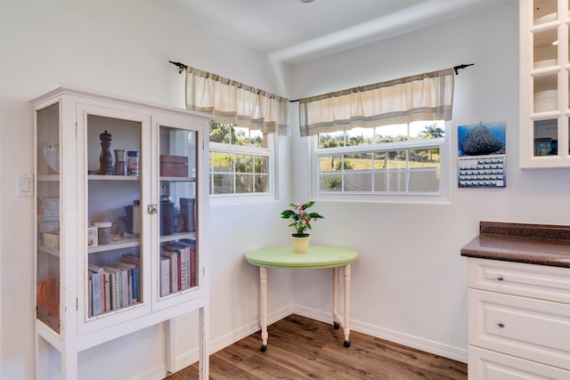 interior space featuring hardwood / wood-style floors