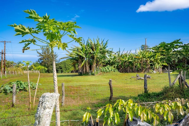 view of yard featuring a rural view