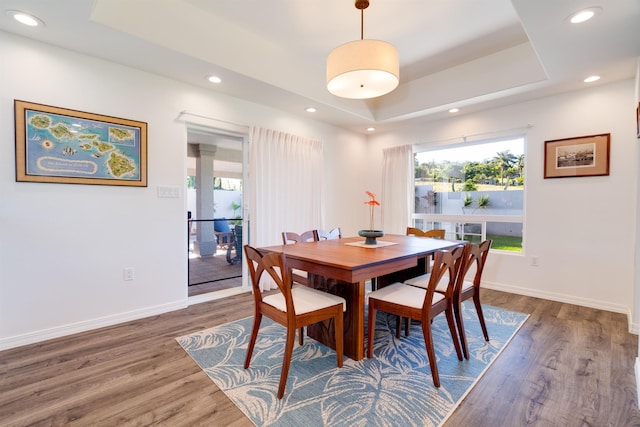 dining room featuring dark hardwood / wood-style floors, a wealth of natural light, and a tray ceiling