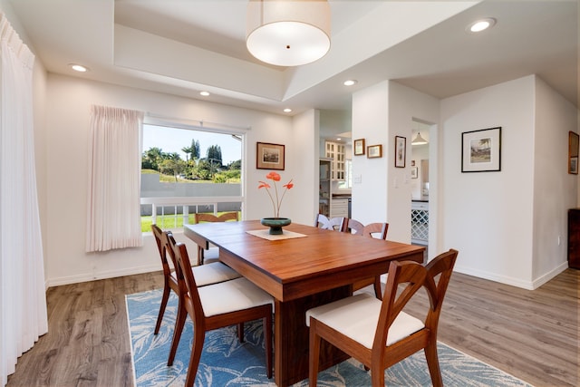 dining room featuring a healthy amount of sunlight, a tray ceiling, and hardwood / wood-style floors