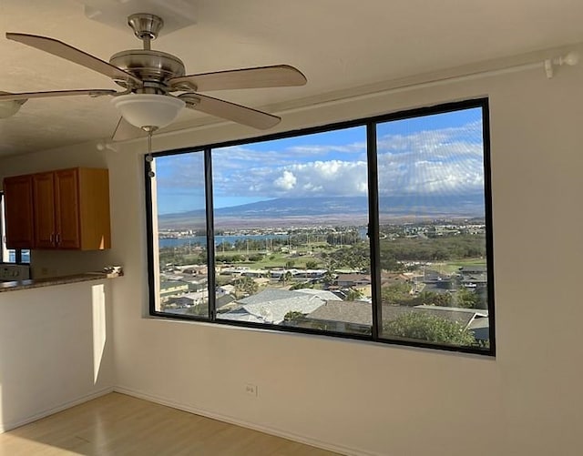 interior space featuring light wood-type flooring and ceiling fan