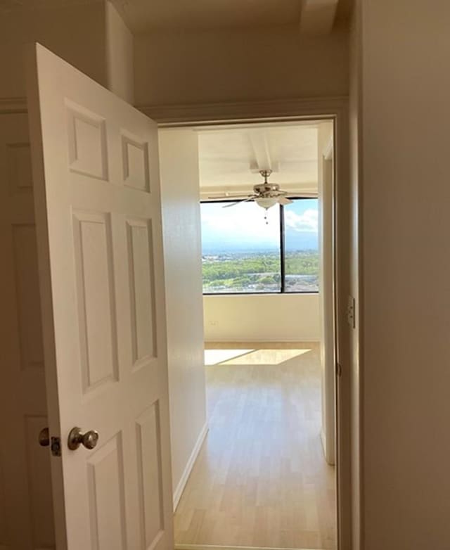 hallway with light hardwood / wood-style flooring