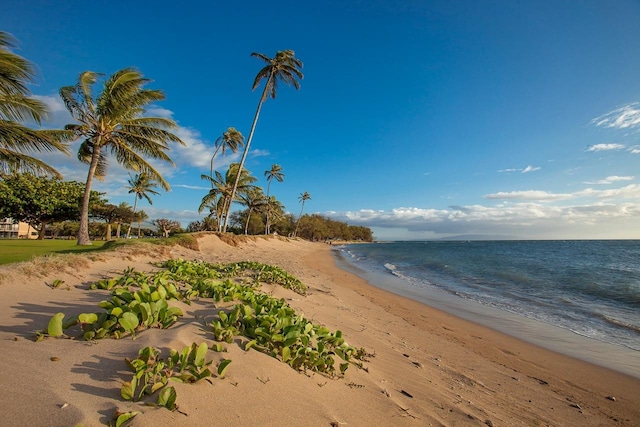 property view of water featuring a view of the beach