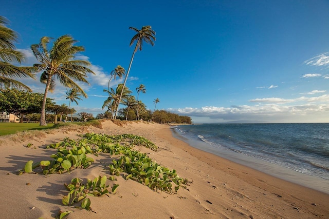 water view with a view of the beach