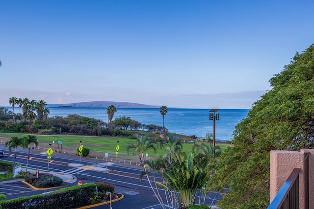 water view with a mountain view