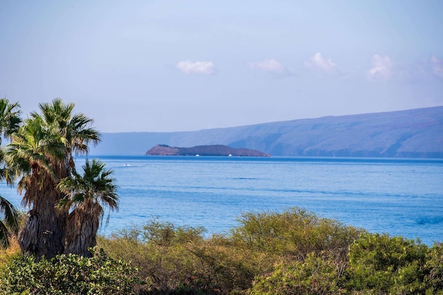 water view with a mountain view