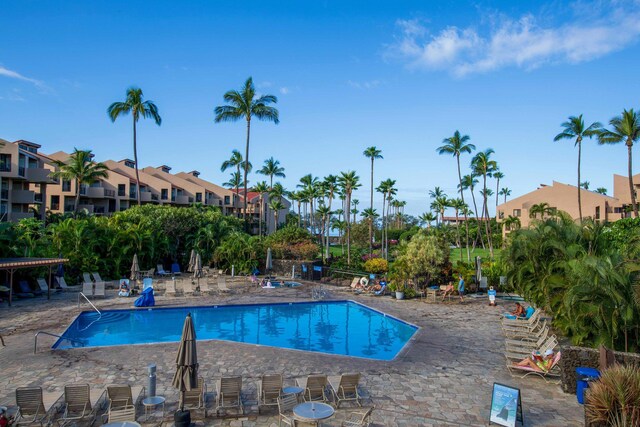 view of pool with a patio area