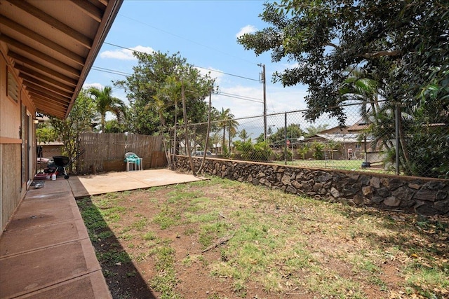 view of yard featuring a fenced backyard and a patio area