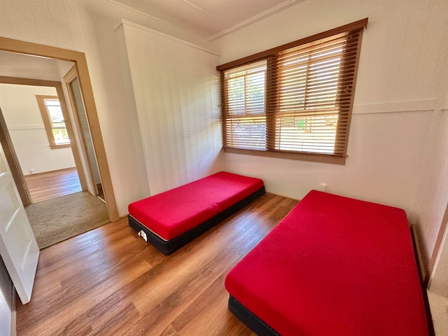 bedroom with wood-type flooring