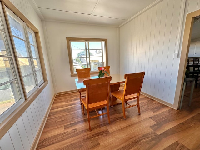 dining space with light hardwood / wood-style floors