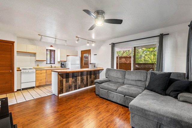 living room with ceiling fan, light hardwood / wood-style flooring, and sink