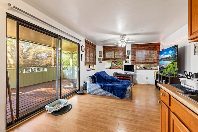 living room with ceiling fan and light wood-type flooring