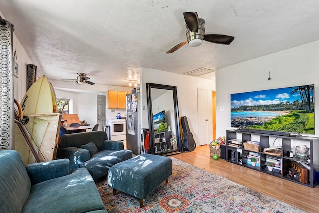 living room with ceiling fan, light wood-type flooring, and a textured ceiling