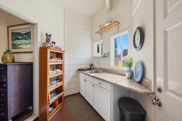 140 Kahana Ridge Dr, Lahaina, HI 96761 - kitchen featuring a sink and white cabinets
