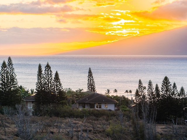 140 Kahana Ridge Dr, Lahaina, HI 96761 - water view