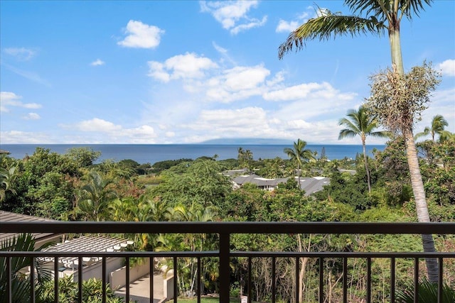 161 Wailea Ike Pl Unit C204, Kihei, HI 96753 - water view