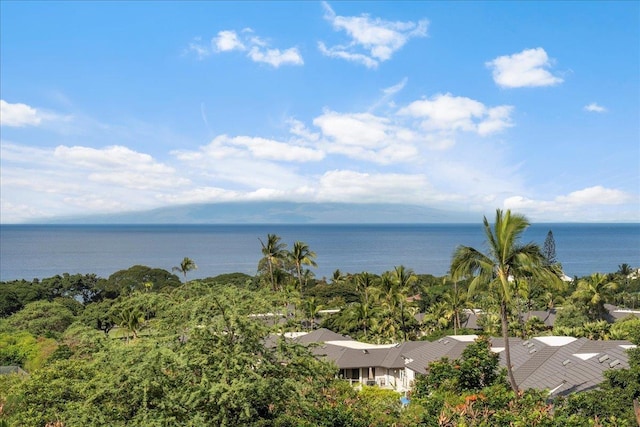 161 Wailea Ike Pl Unit C204, Kihei, HI 96753 - water view