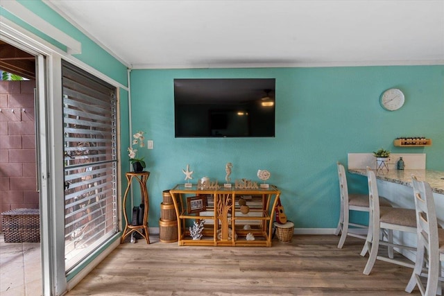 living room with hardwood / wood-style floors