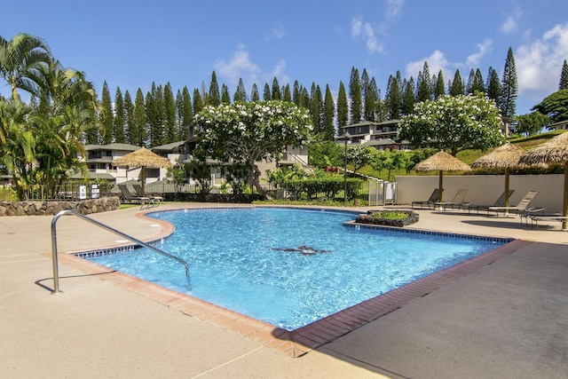 view of pool featuring a patio area