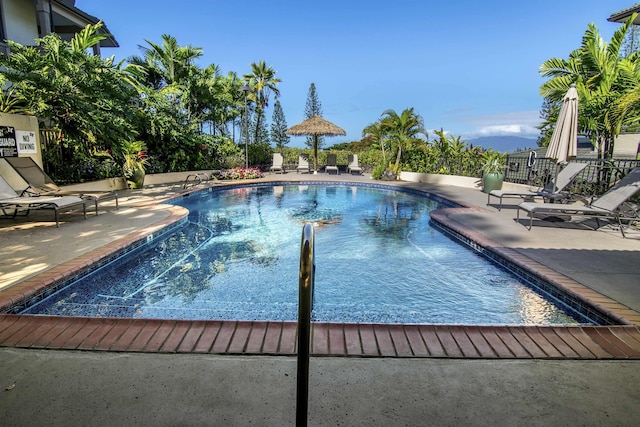 view of pool with a patio