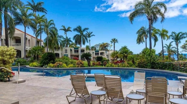 view of swimming pool