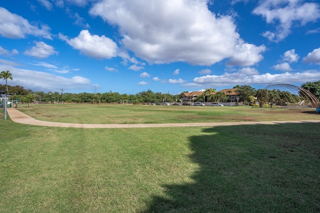 view of community with a lawn