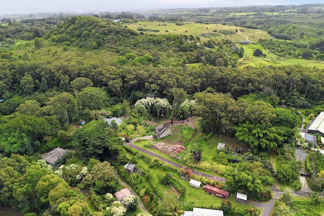 70 N Lanikai Pl, Haiku, HI 96708 - aerial overview of property's location with a forest