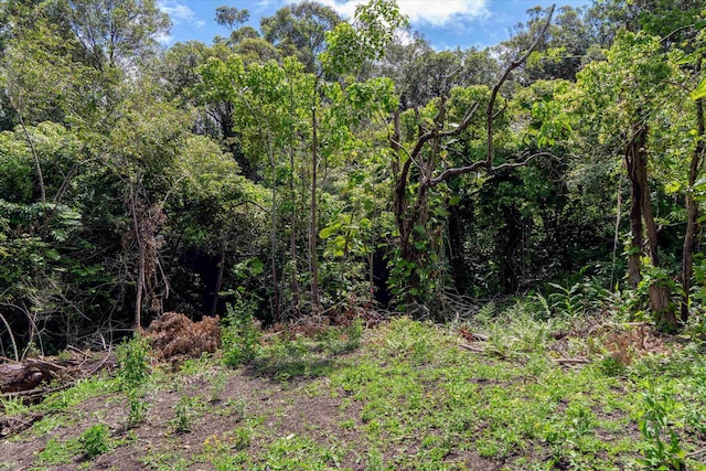 70 N Lanikai Pl, Haiku, HI 96708 - view of wooded area