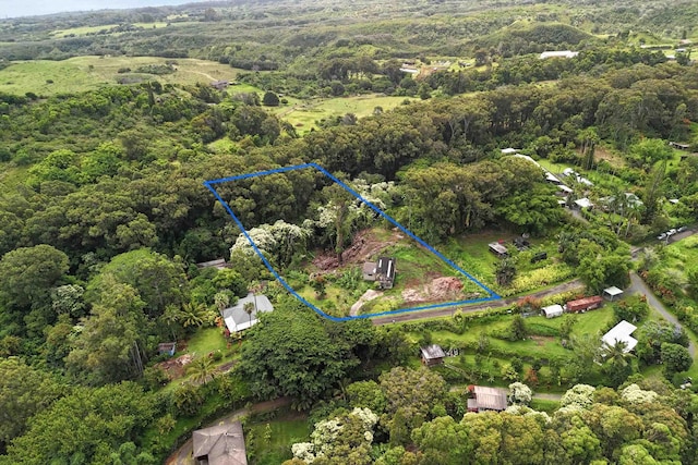 70 N Lanikai Pl, Haiku, HI 96708 - view of property location with property parcel outlined and a heavily wooded area