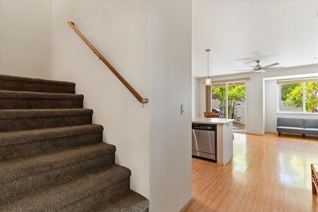 stairs with wood-type flooring and ceiling fan