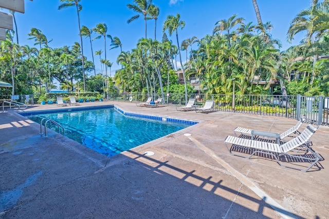 view of pool featuring a patio