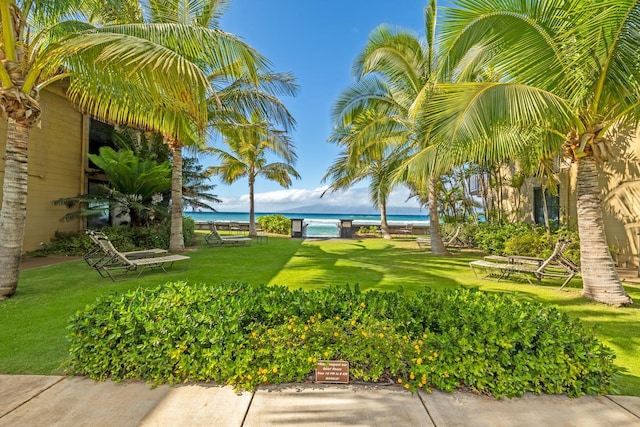 view of community featuring a lawn and a water view