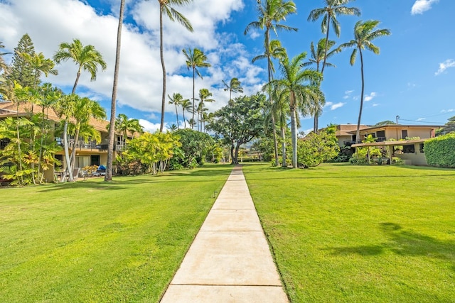 view of community featuring a yard