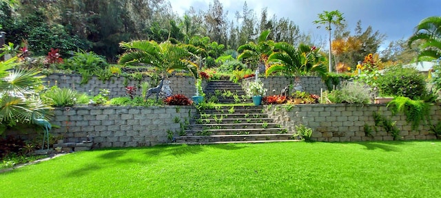 516 Polulani Dr, Wailuku, HI 96793 - view of grassy yard featuring stairs
