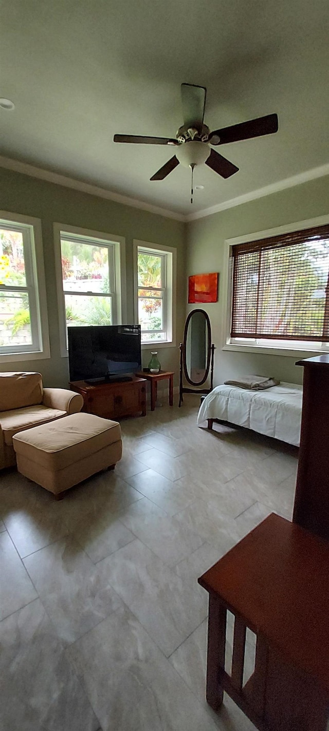 unfurnished bedroom with ceiling fan and ornamental molding