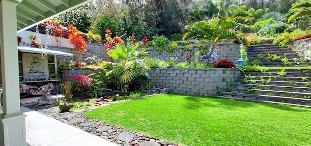 516 Polulani Dr, Wailuku, HI 96793 - view of yard