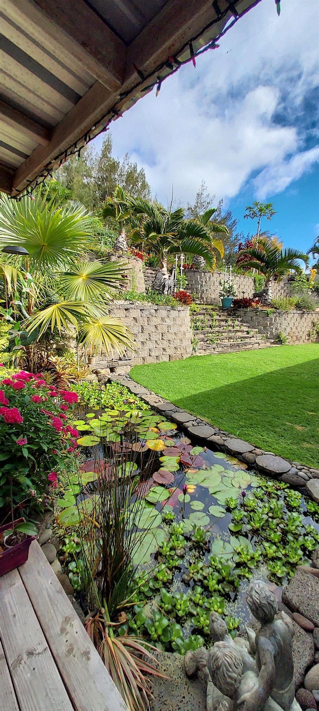516 Polulani Dr, Wailuku, HI 96793 - view of green lawn