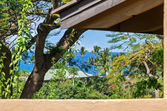 3300 Wailea Alanui St Unit 3A, Kihei, HI 96753 - exterior view