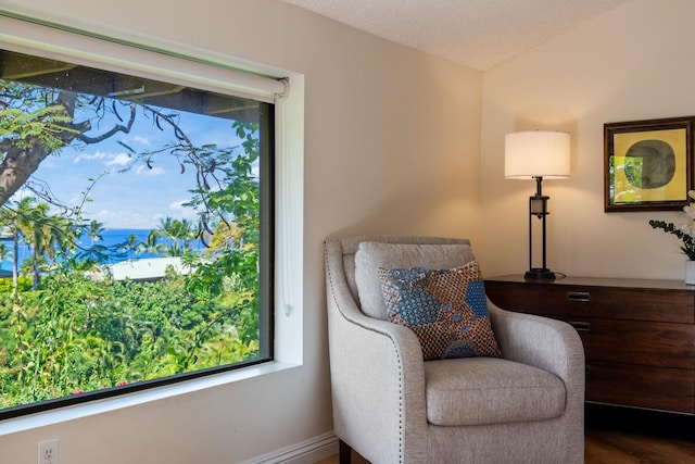 3300 Wailea Alanui St Unit 3A, Kihei, HI 96753 - sitting room with wood finished floors