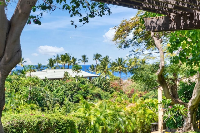 3300 Wailea Alanui St Unit 3A, Kihei, HI 96753 - water view