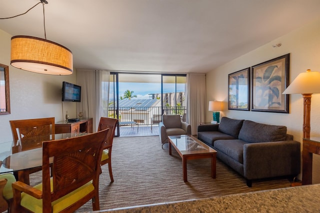 living room with expansive windows