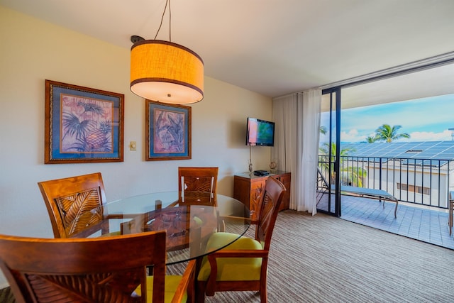 carpeted dining room featuring expansive windows