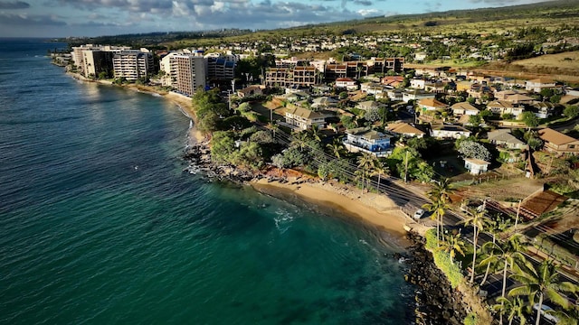 11 Piina Pl, Lahaina, HI 96761 - drone / aerial view of a large body of water