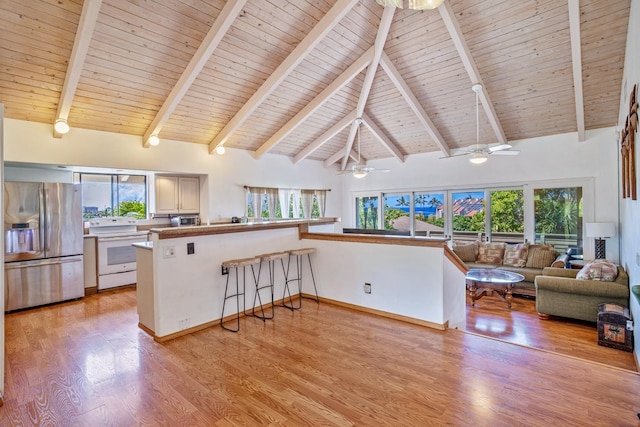 kitchen featuring light hardwood / wood-style floors, white range with electric stovetop, stainless steel refrigerator with ice dispenser, and a wealth of natural light